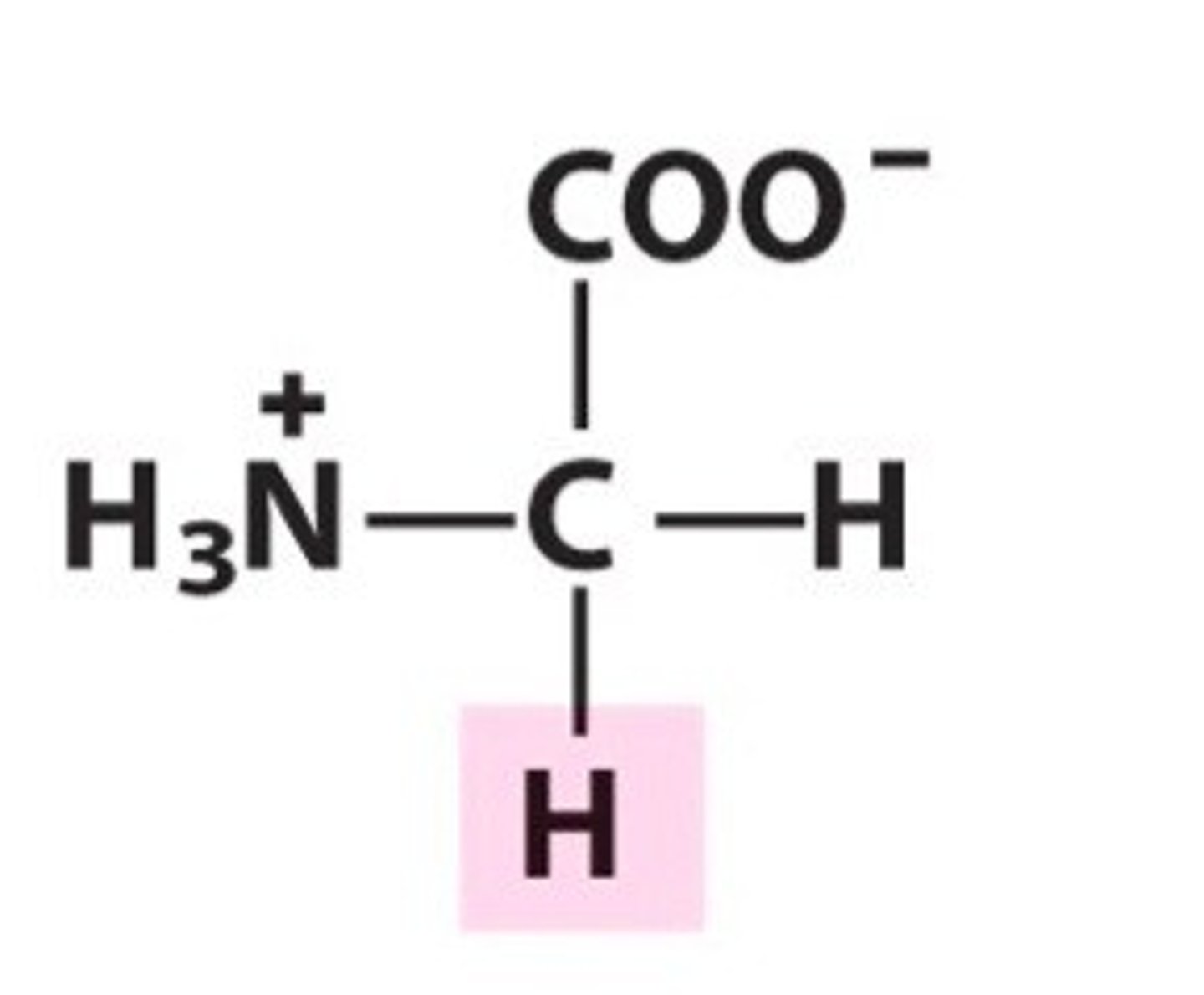 <p>GGU</p><p>GGC</p><p>GGA</p><p>GGG</p><p>hydrophobic, nonpolar (Gly or G)</p>