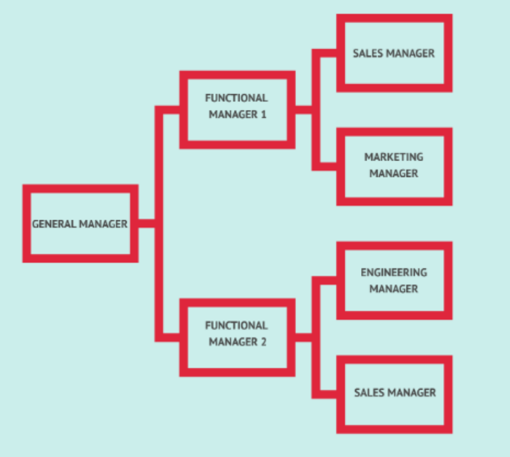 <p><strong><u>Organizational Structures</u></strong></p><ul><li><p>Blends elements of a functional and divisional structure</p></li><li><p>Resembles a grid in which employees with similar skills are grouped together and report to more than one manager.</p></li></ul><p></p>