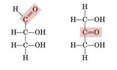 <p>• what is highlighted?</p><ol><li><p>functions as an aldehyde</p></li><li><p>functions as a ketone</p></li></ol>