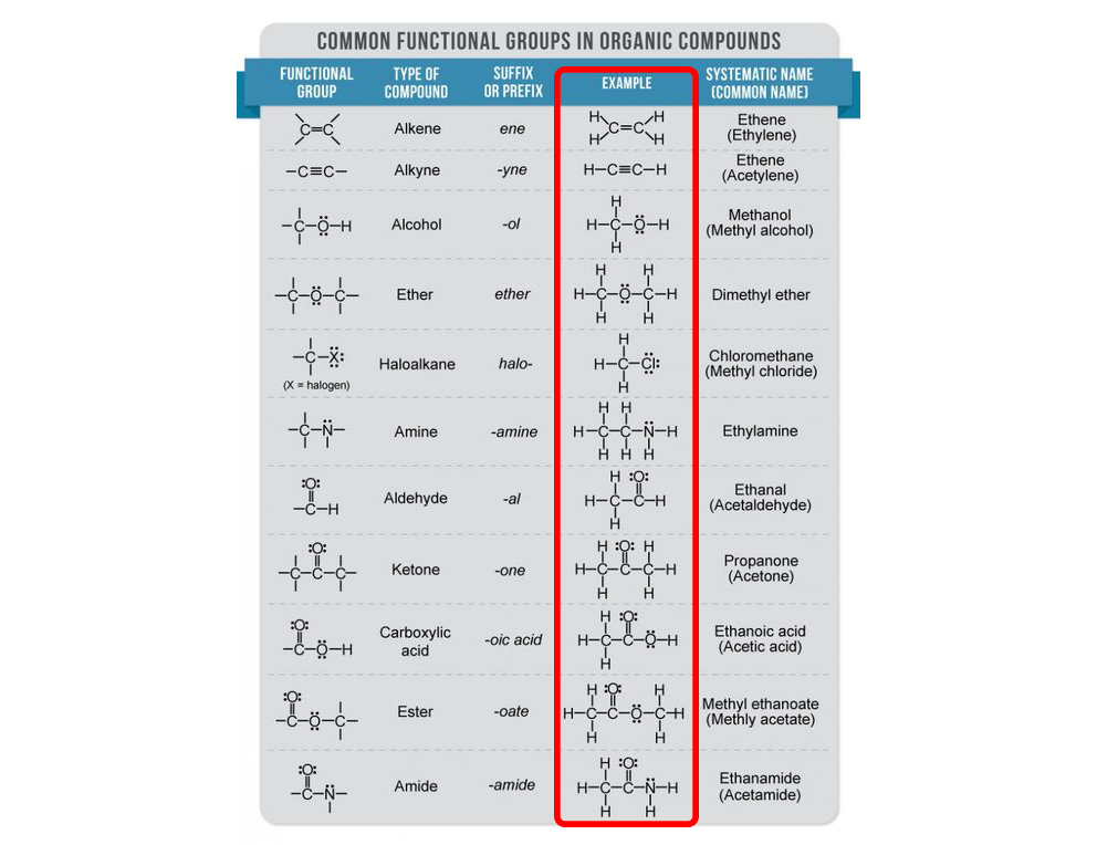 <ul><li><p><strong>Organic =</strong> Carbon backbone + hydrogen (hydrocarbons); in its simplest form are alkanes (singly bonded carbons with hydrogens) but the complexity increases with functional groups.</p></li><li><p><strong>Common functional groups to recognize:</strong> alkanes, alkenes, alkynes, alcohols, carboxylic acids, esters, ketones, aldehydes, ethers, amines, amides.</p></li><li><p><strong>Formula conventions:</strong></p><ul><li><p><strong>Atoms listed in bonding order from left to right in the chain.</strong></p></li><li><p><strong>With the central chain as the least electronegative atom, except for hydrogen.</strong></p></li></ul></li><li><p>Most organic species obey the octet/duet rule.</p></li><li><p>Examples:</p><ul><li><p>Propane (CH₃CH₂CH₃)</p></li><li><p>Propanone (CH₃COCH₃)</p><img src="https://knowt-user-attachments.s3.amazonaws.com/f7676470-aad6-4329-9248-e9f54f502e91.png" data-width="100%" data-align="center"></li></ul></li></ul><p></p>
