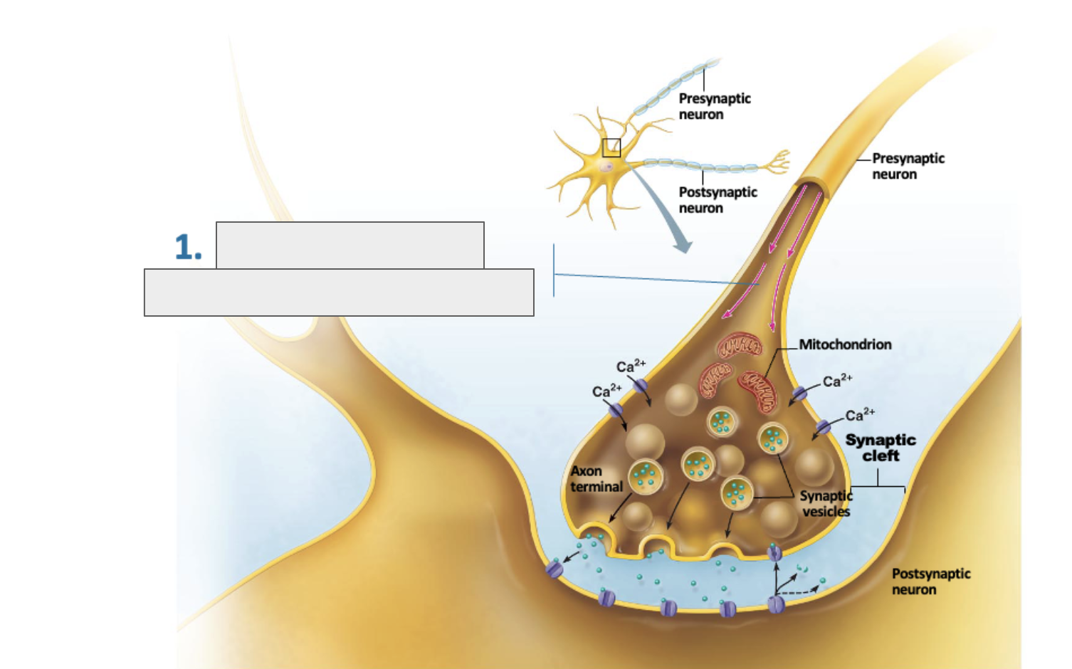 <p>what is happening in this image?</p>