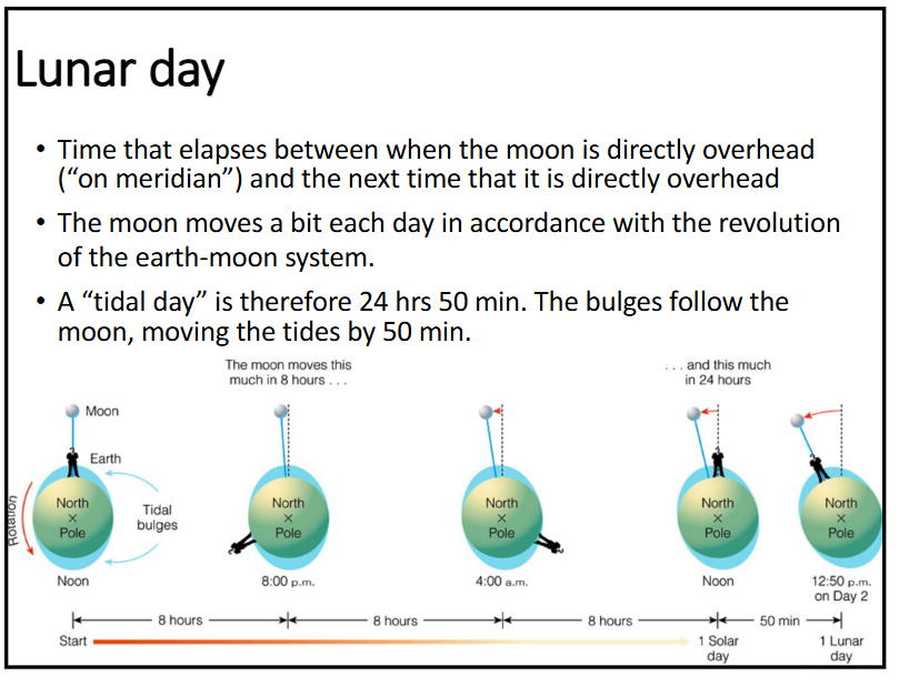 <p>-time that elapses between when the moon is directly overhead (on meridian) and the next time that it is directly overhead<br><span style="color: rgb(0, 0, 0);">-the moon moves a bit each day in accordance with the revolution<br>of the earth-moon system</span></p><p>-a “tidal day” is 24 hours 50 minutes, the bulges follow the moon, moving the <span style="color: rgb(0, 0, 0);">tides back by 50 minutes</span></p>