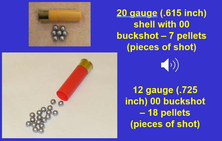 <p><strong>Gauge number = number of lead balls that it would take to equal 1 lb.</strong></p><p>Correlated with Size of a bore </p><p>Smaller number means a larger bore means can have more pellets within each shot</p>