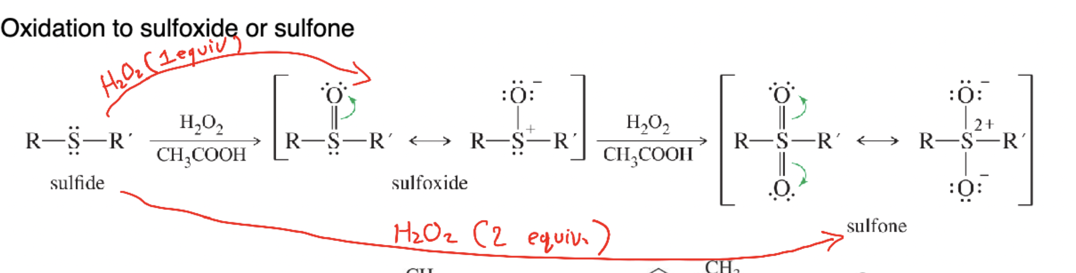 <p>R–S(=O)–R′ produced by mild oxidation (1 equiv H₂O₂) of a sulfide.</p>