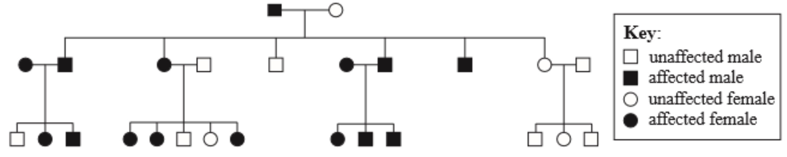 <p>What evidence is given in the pedigree chart to prove that the condition is caused by a dominant allele?</p>