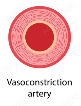 <ul><li><p>Maximum Arterial pressure</p></li><li><p>Occurs when the heart pumps</p></li><li><p>Vasoconstriction occurs</p></li></ul>