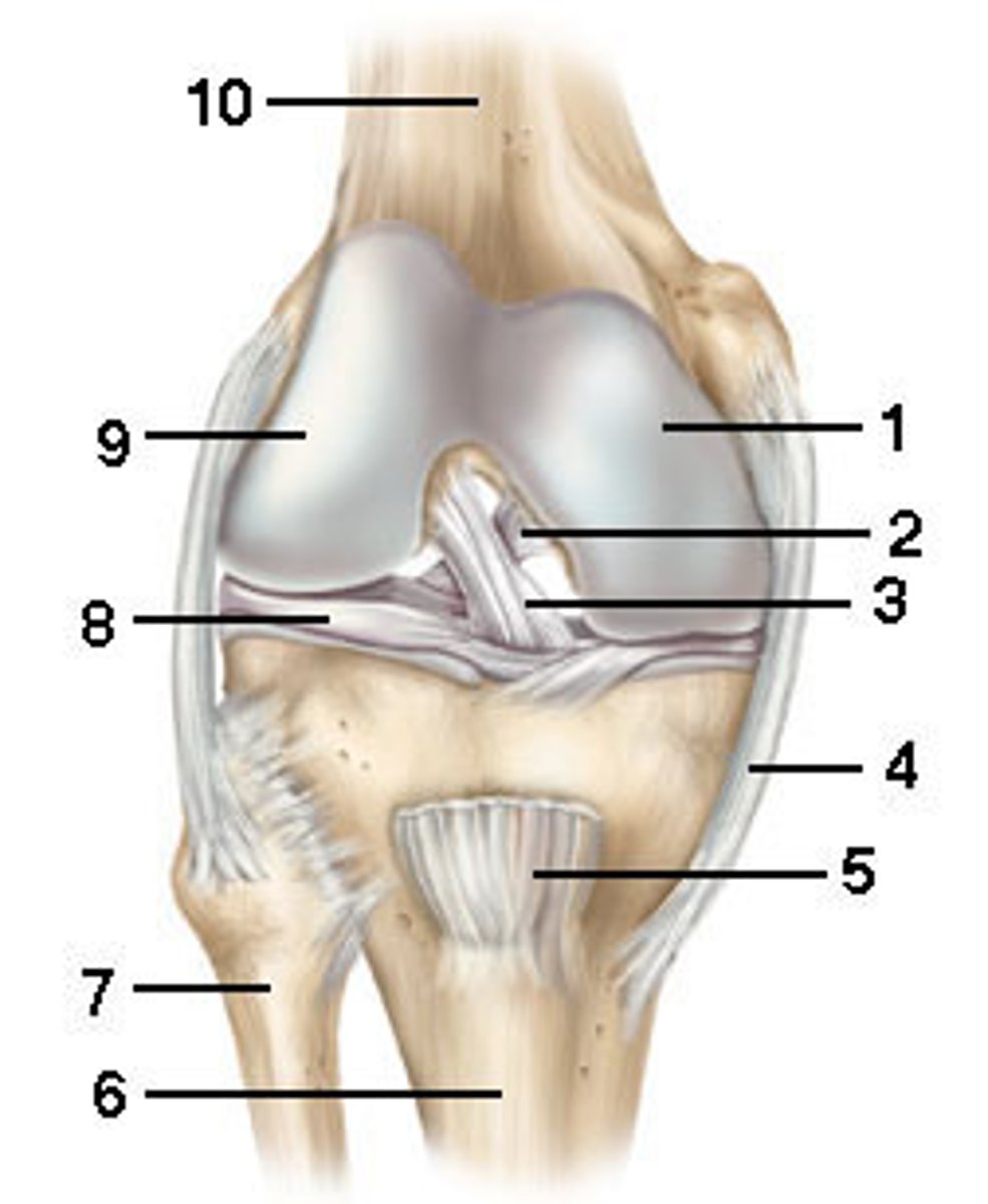 <p>Opposite of 4</p>