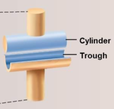 <p>Hinge joints</p>