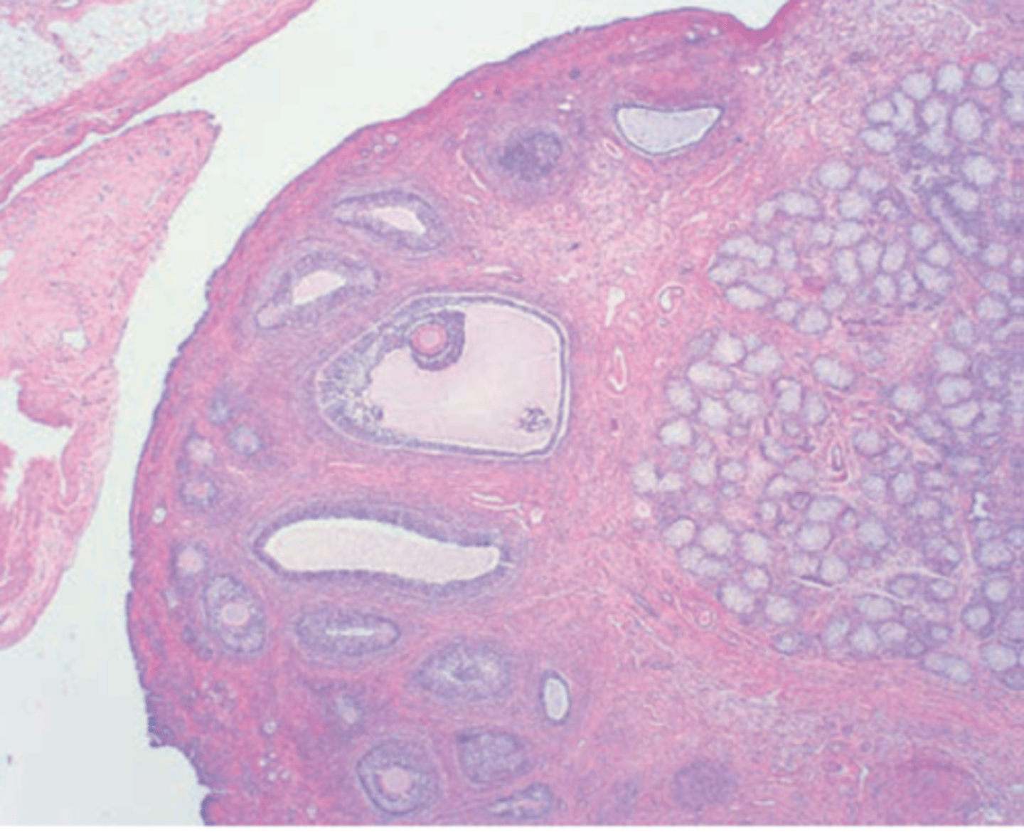 <p>What is this?</p>