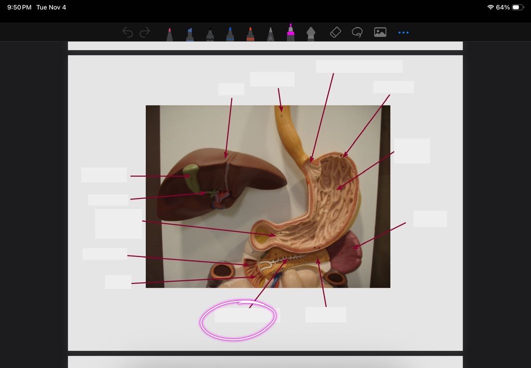 <p>What is this?</p>