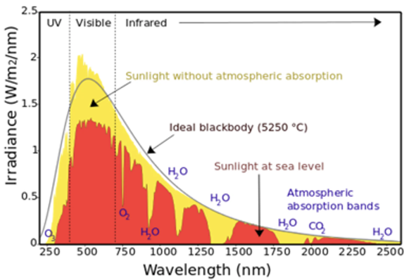 <ul><li><p>The core of the sun produces a continuous spectrum due to nuclear fusion</p></li><li><p>This energy is released as photons</p></li><li><p>The electrons in the outer layer of gas in the sun absorbs these photons, enter an excited state and then relax back to ground level to re-emit the energy → emits as certain frequencies of EMR</p></li><li><p>We do not receive a continuous spectrum from earth due to this process</p></li><li><p>We can study the absorption and emission spectral lines to find the information about the sun (see: Viewing Stellar Spectra to Study Stars)</p></li><li><p>Gas in the Earth’s atmosphere cause more absorption lines</p><ul><li><p>Blue light (higher energy) is absorbed by atmosphere to excite the electrons in the air</p></li><li><p>Carbon dioxide absorbs infrared radiation and longer wavelengths of visible light</p></li></ul></li></ul><p></p>