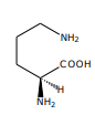 <p>[Alkaloids Compounds] pyrrolidine alkaloids (tropane alkaloids)  The precursor of hygrine is</p>