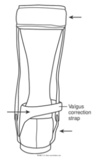 knowt flashcard image