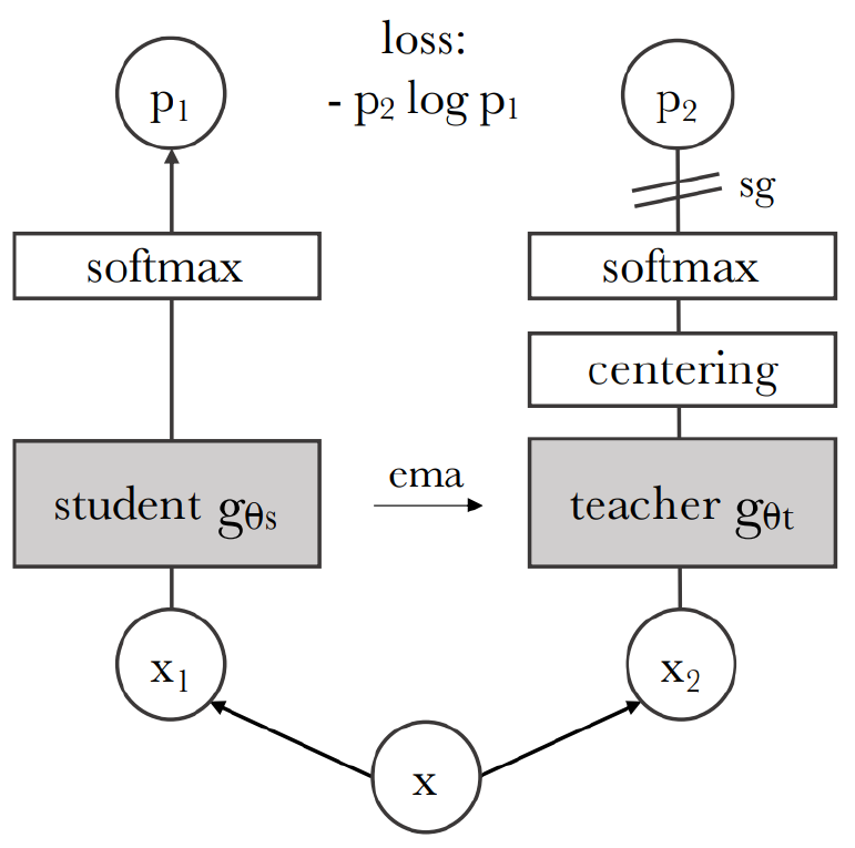 <p>= self-DIstillation with NO labels</p><ul><li><p>Aims to find representations which are stable in the dataset</p></li><li><p>Leverages self-distillation without labels by using an exponential moving average-based teacher model derived from the student’s past states.</p></li><li><p>The teacher predictions are mean-centered and sharpened, guiding the student to learn stable and informative features.</p></li><li><p>Optimizes cross-entropy between the student and</p><p>the slowly evolving teacher</p></li></ul><p></p>