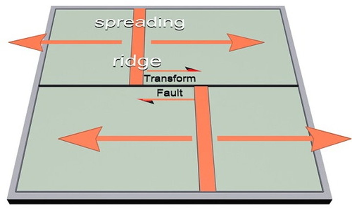 <p>Large-scale faults in the crust at right angles to a mid-ocean ridge, which range from tens to hundreds of km.</p>