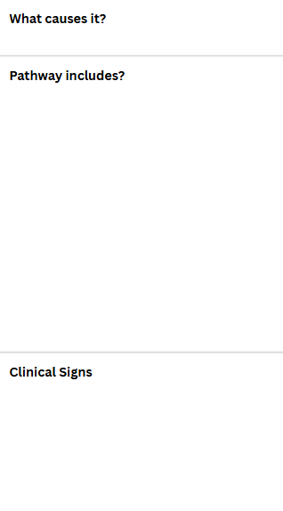 <p>Horner’s Syndrome</p>