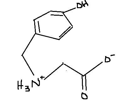 <p>Which amino acid is this?</p>