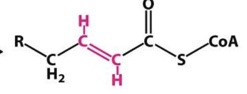 <p>What is this Structure?</p>