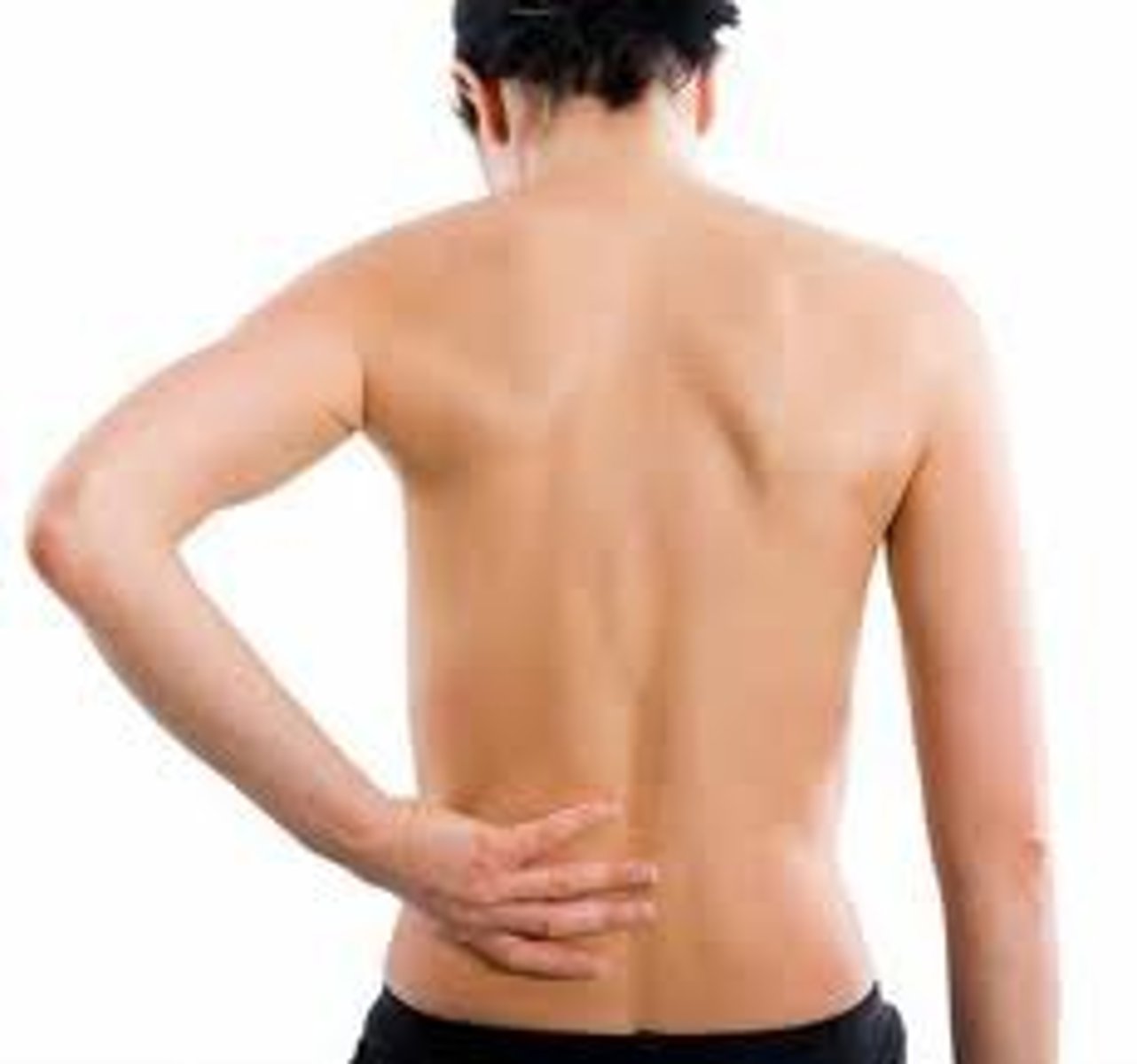 <p>back portion of the body</p>