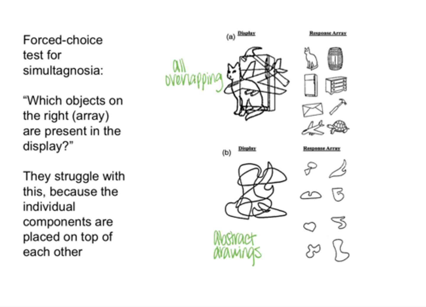 <p>Does an individual with Balint-Holmes Syndrome d/t damage to the parietal lobe do well with a forced-choice test for simultagnosia? Why?</p>