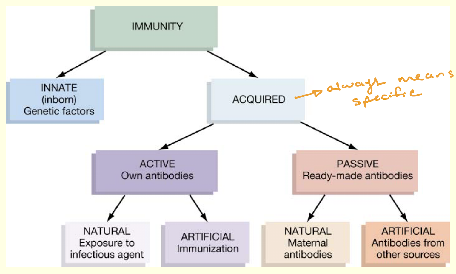 knowt flashcard image