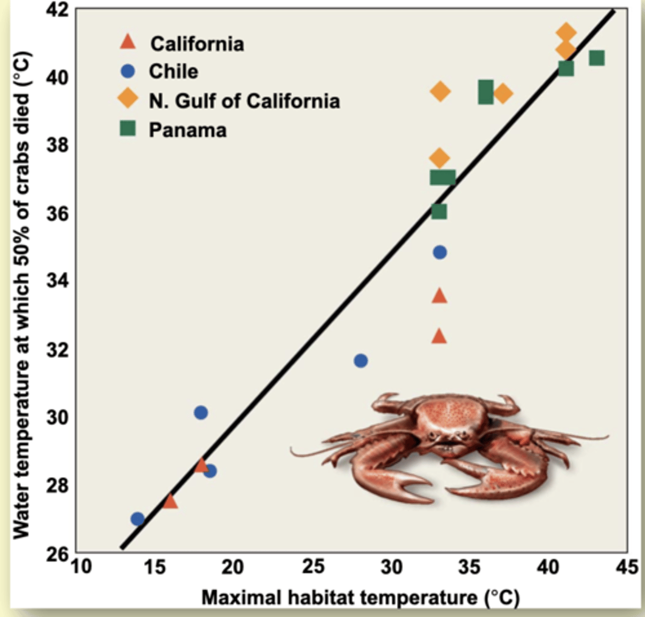 <p>What is this graph showing us? </p><p>- T(max) is related to habitat temperature within a genus of porcelain crabs</p>