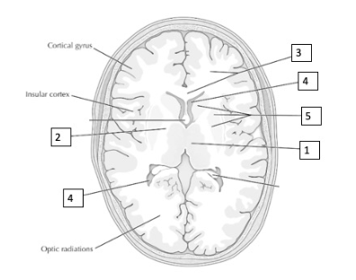 <p>4</p>