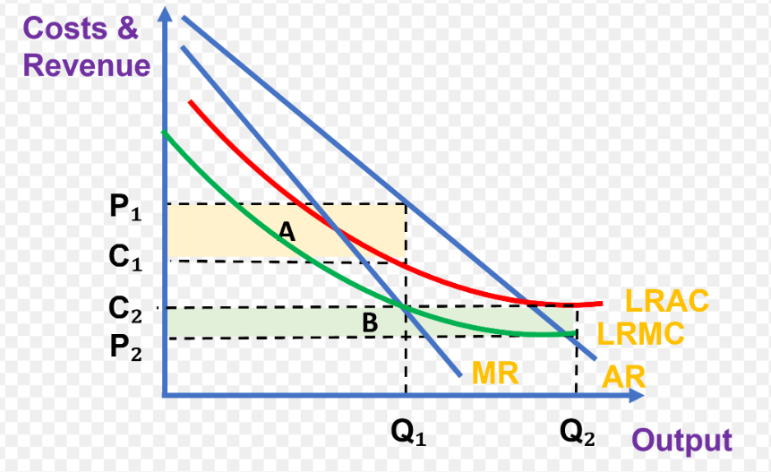 <ul><li><p>if the market becomes dominated by a single firm, it may reduce productive efficiency</p></li><li><p>a natural monopoly sauch as the railway network may involve high fixed costs and EOS that make competition wasteful - wasteful duplication of resources</p></li><li><p>so privatisation may result in higher prices without improving quality</p></li></ul><p></p>