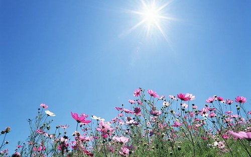 sunny