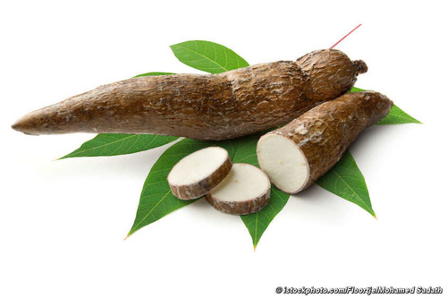 <p>cassava, yucca (type of root)</p>