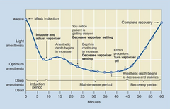 <p>Inhalational induction and maintenance</p>