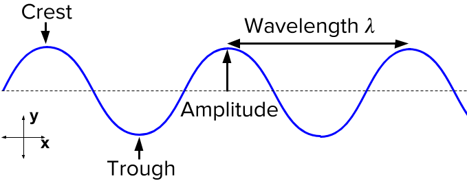 <p>Crest, trough, wavelength, amplitude.</p>