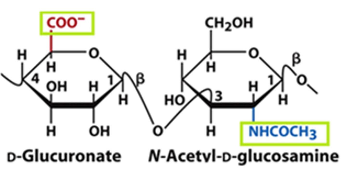 <p>-Found naturally in animal tissue (but also made industrially)</p><p>-Produced by microbial fermentation</p><p>-Can retain up to 1000 times its own weight (so can hold many materials)</p><p>-Used extensively in cosmetic industry</p>