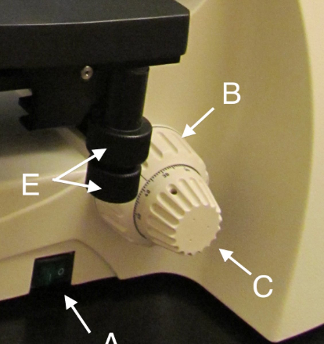 <p>B</p>