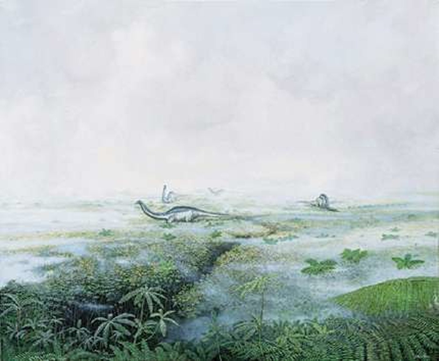 <p>Jurassic, Long Neck Meadow</p>