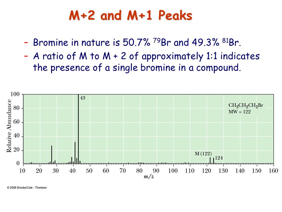 <p>bromine </p><ul><li><p>Br has a 1:1 ratio relative to the M peak </p></li></ul><p></p>