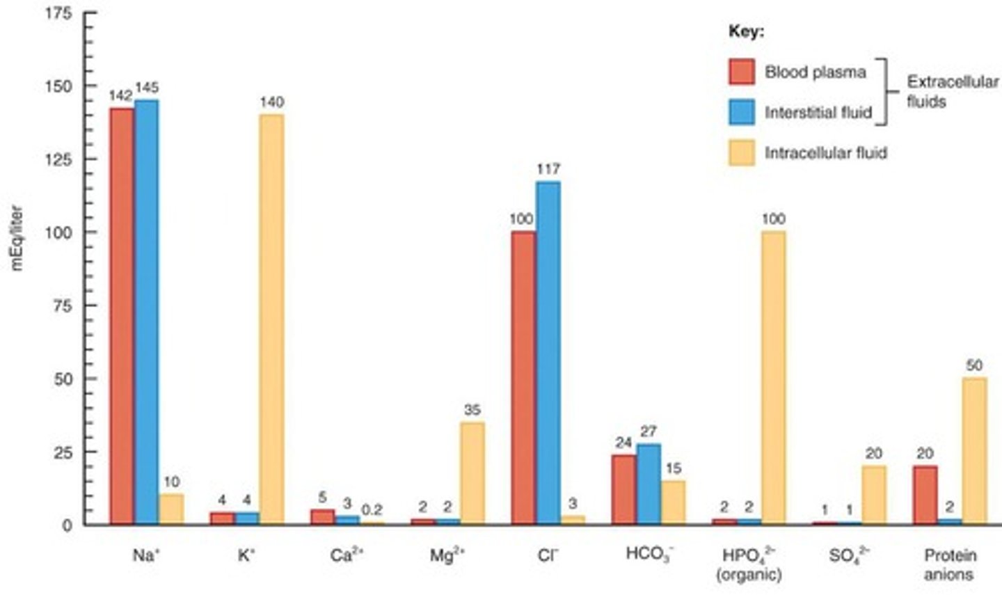 <p>Plasma contains many protein ions, interstitial fluid has few protein ions, and intracellular fluid has high concentrations of K, Mg, HPO4, and SO4.</p>