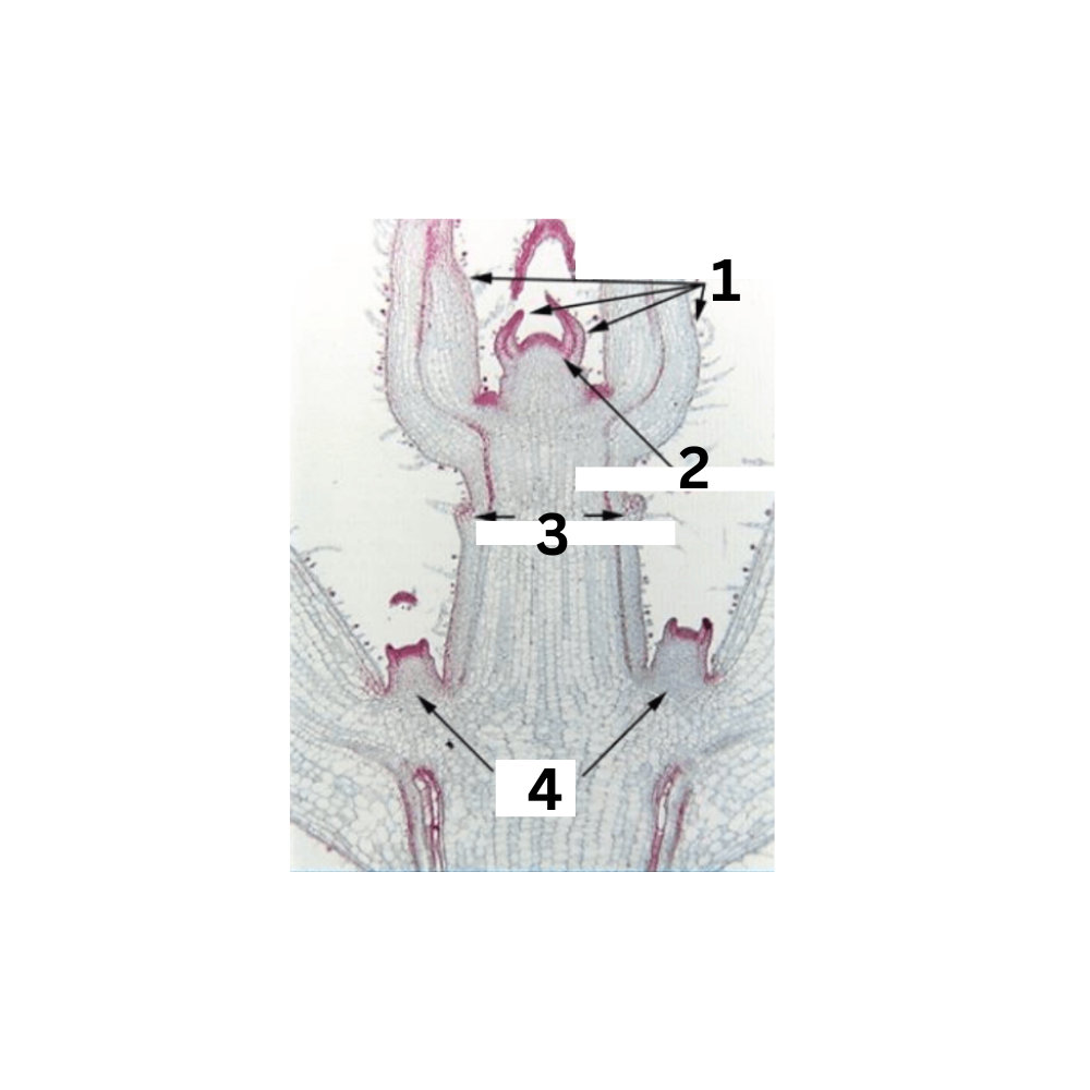 <p>What part is no. 4?</p>