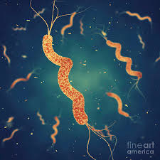 <p>spiral with multiple tails</p>