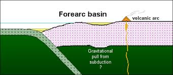 <p>a region in a subduction zone between an oceanic trench and the associated volcanic arc</p>