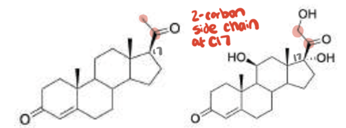 <p>What prototype endogenous agonist are these?</p>
