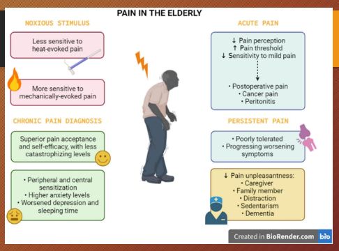 <p>~75%</p><p><em>Elderly are more sensitive to meds and are at a higher risk for polypharmacy</em></p>