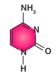 <p>What is this?</p>