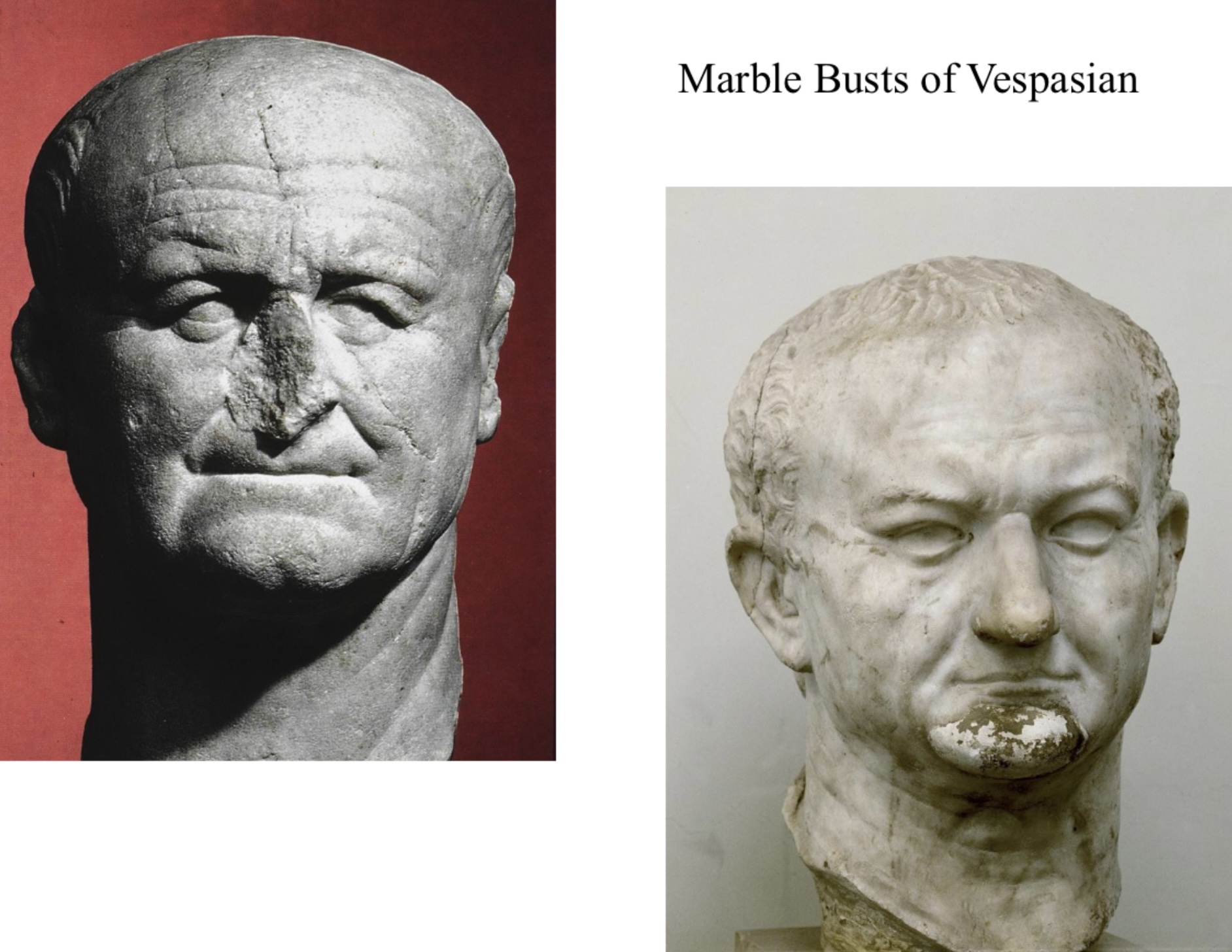 <p>Busts of Vespasian</p>