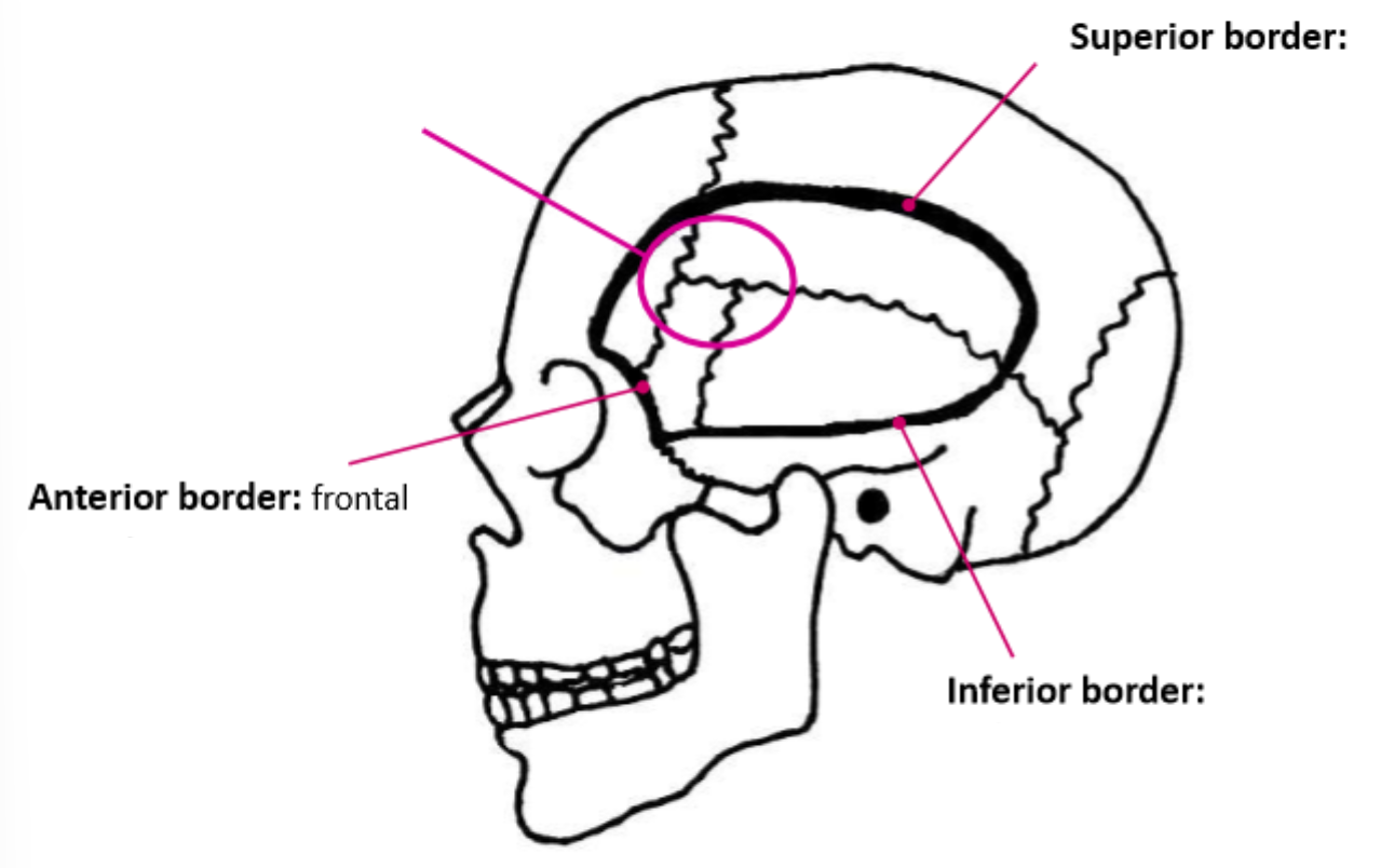 <p>What is the circled part?</p>