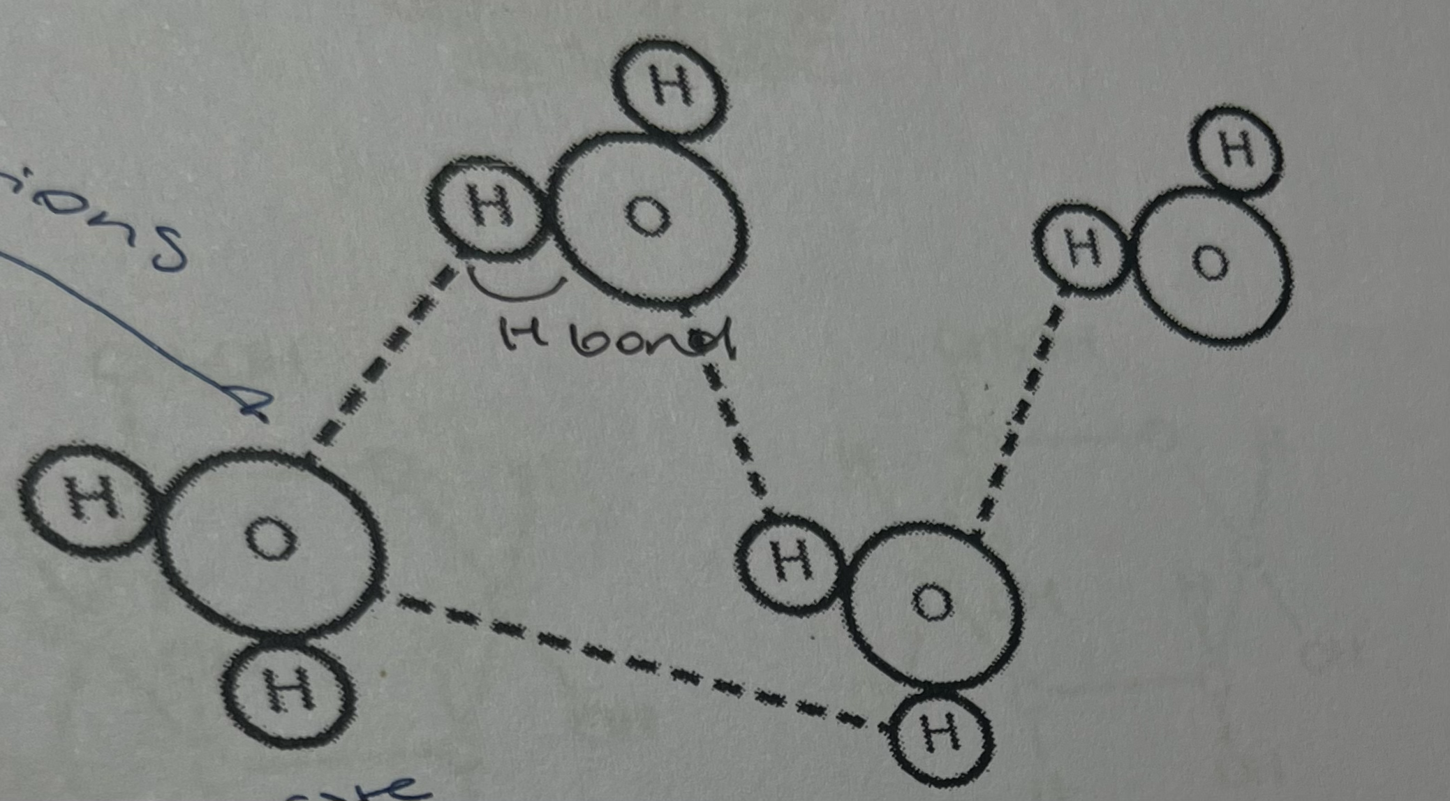 <p>the diagram shows water molecules. which property of water is not illustrated?</p><p>a. cohesion</p><p>b. dipolarity</p><p>c. hydrogen bonding</p><p>d. adhesion</p>
