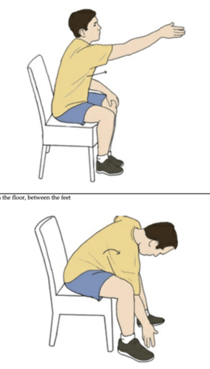 <p>concentric contraction of low back muscles</p><p>eccentric contraction of abdominals</p>