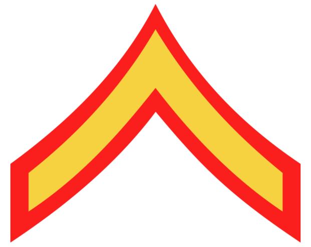 <p>one chevron</p>