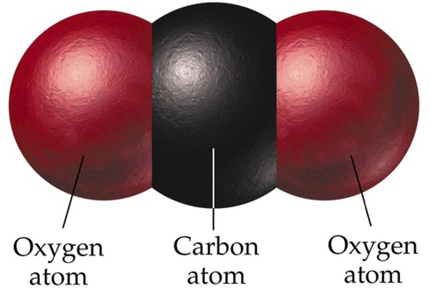 <p>A molecule in which the covalent bonds are symmetrically arranged</p>