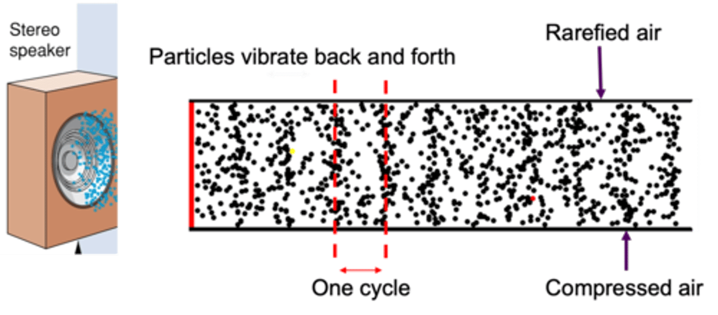 <p>What is sound?</p>